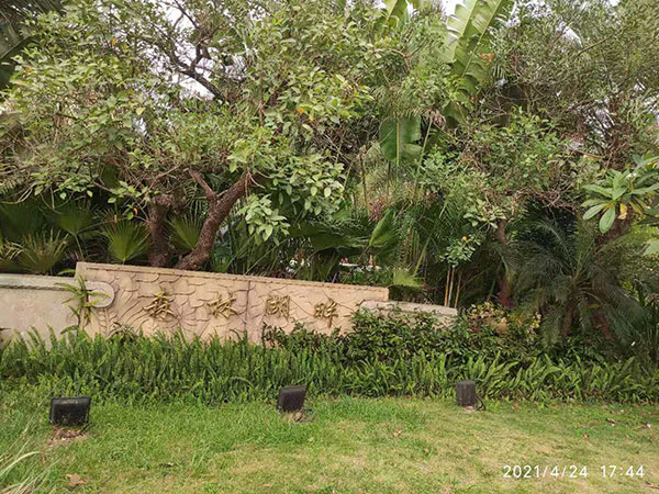 景區(qū)污水處理