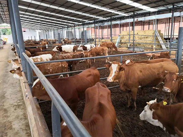 養(yǎng)殖污水處理